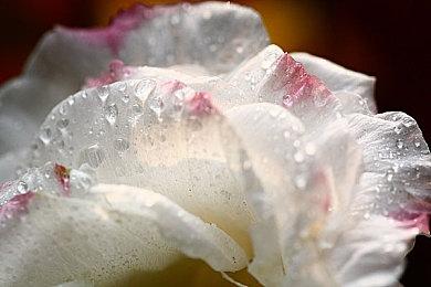 社长非常有信心！《闪电十一人》终将公布发售日